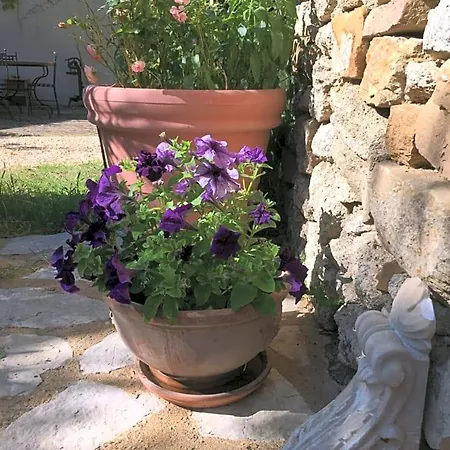 Les Olivettes Le Mazet Bed and breakfast 3*