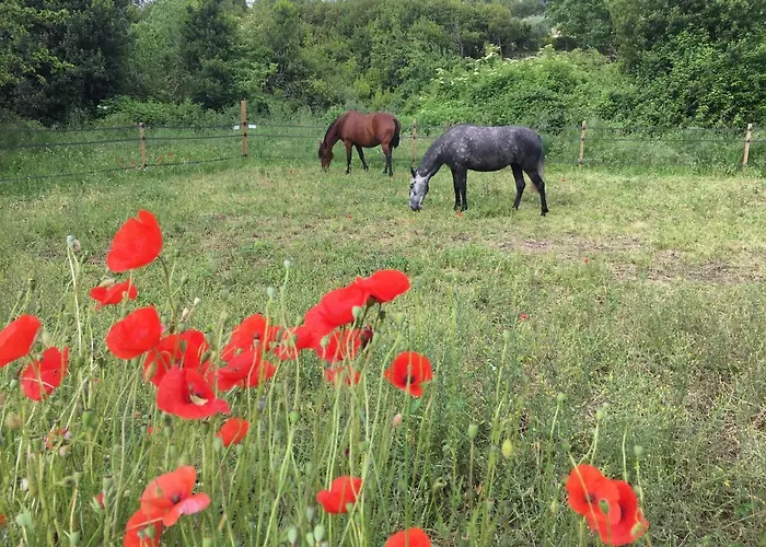 Bed & Breakfast Les Olivettes Le Mazet 3*